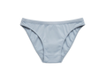 The Zmanti Panty (Brief)
