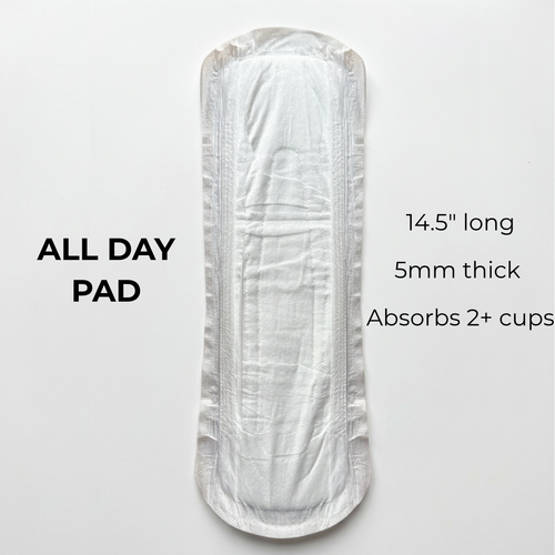 Brief Incontinence Underwear Kits